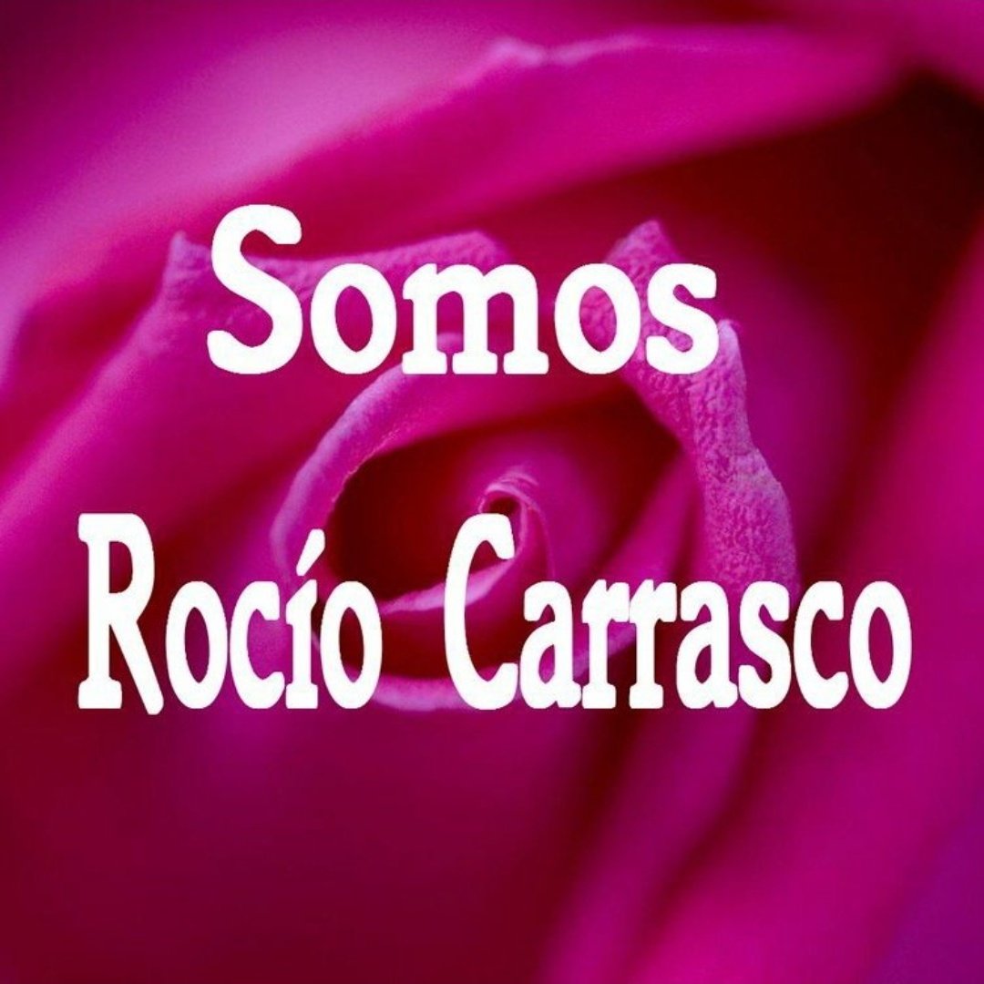 versalles089's tweet image. #APOYOROCIO25E