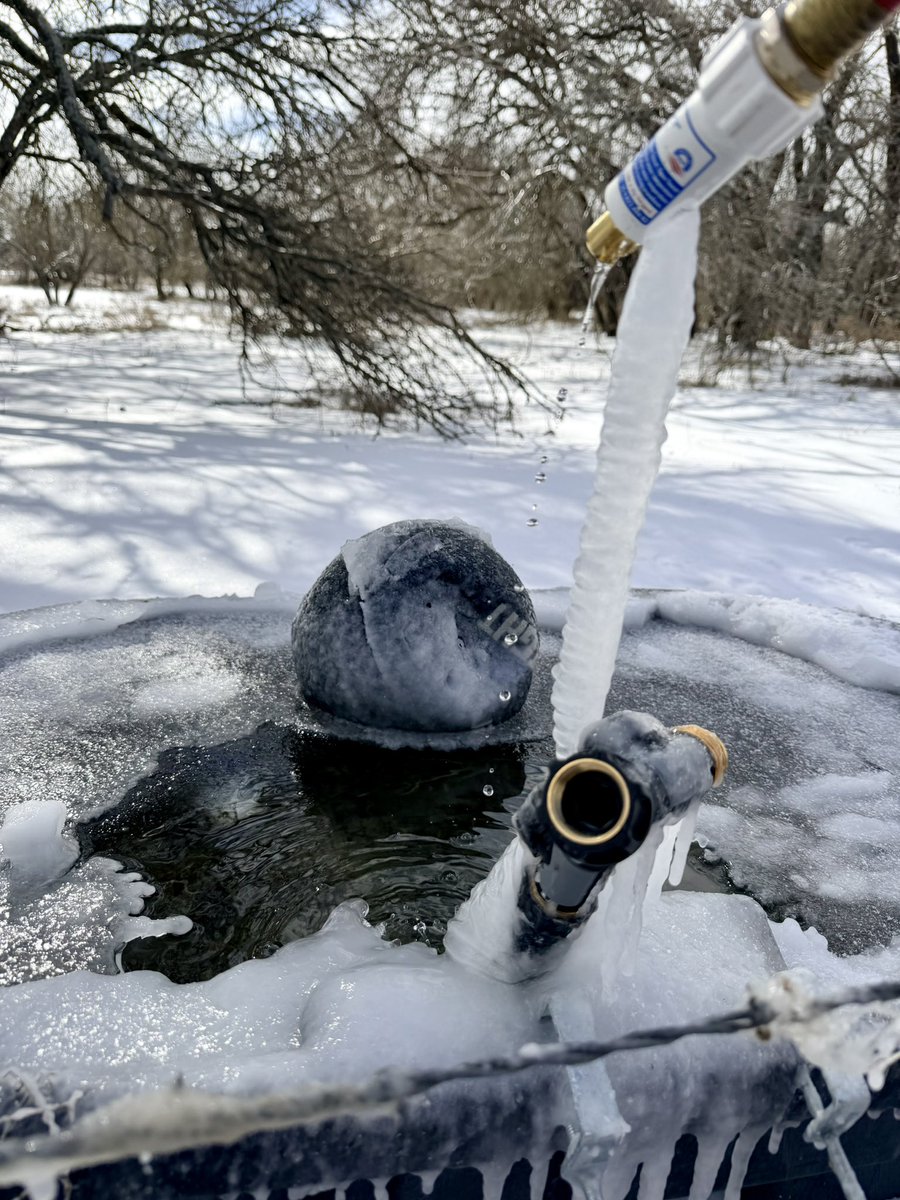 Rare snow day in Texas.