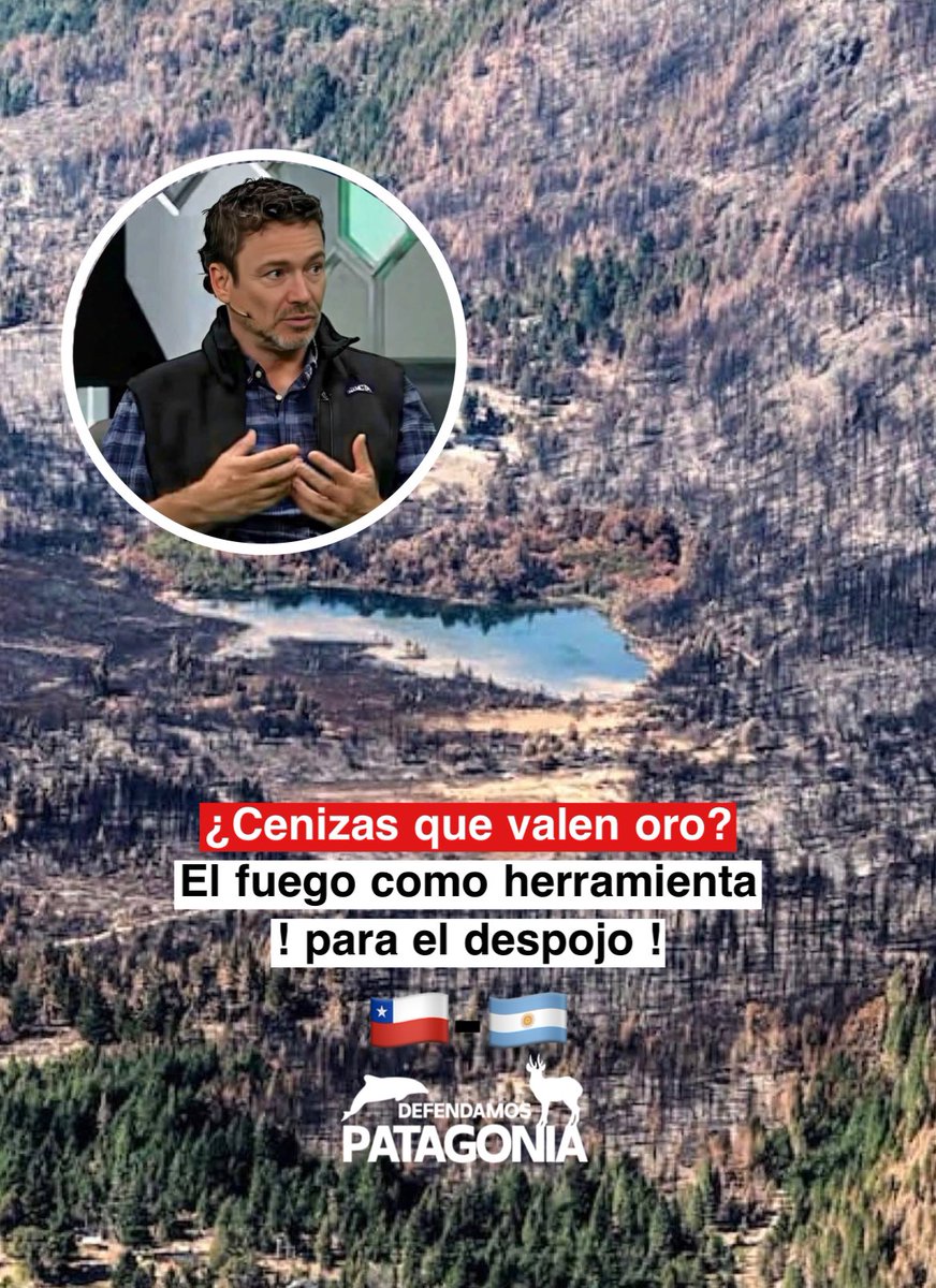 DefendamsChiloe's tweet image. Cenizas que valen oro – 
Una crónica de despojo mediante el fuego

Las llamas no caen del cielo: arden con cálculo frío en Ñuble, Biobío. 
Febrero 2024: centenares de muertos en Viña y Quilpué, desaparecidos, hogares en cenizas. 

La pregunta que quema más que el fuego: ¿quién se…