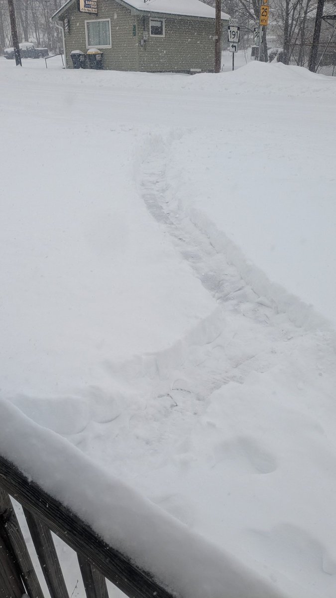 LokiCracked (KickStreamer) tweet media