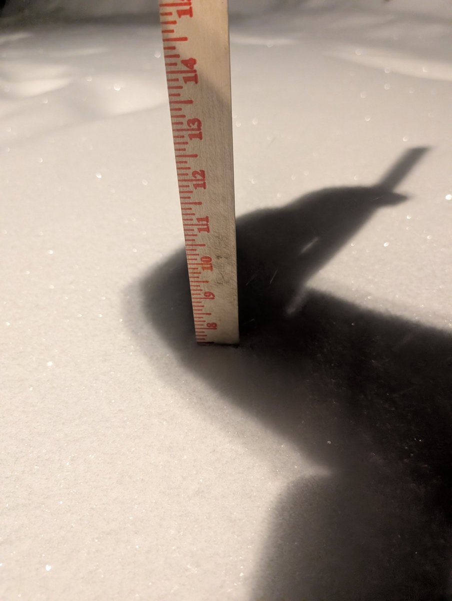 🌩️ Meteorologist Cyrena Arnold 🌪️ tweet media