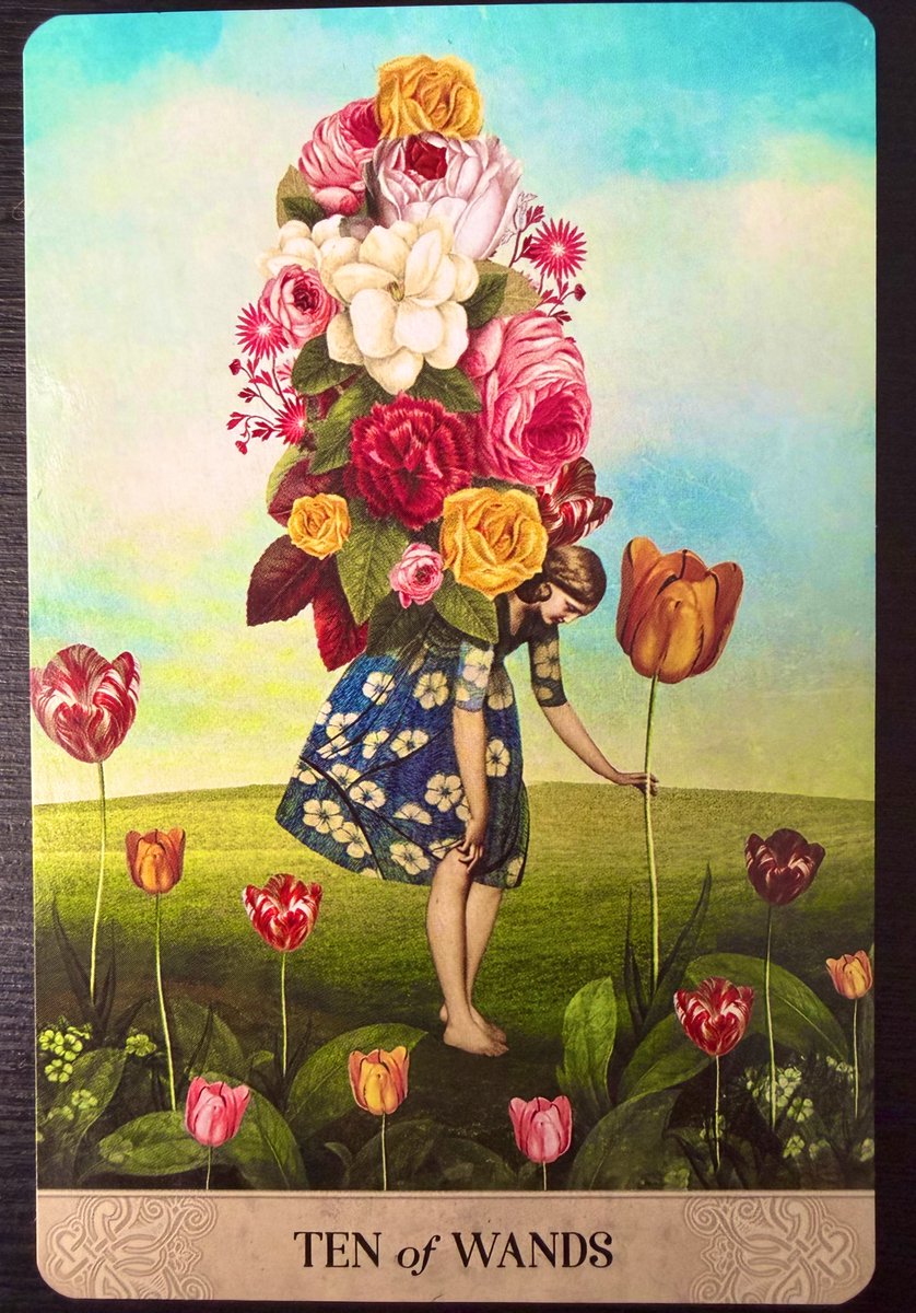 DaturaDaimonic's tweet image. If you are constantly churning the world (soil) around you nothing can grow. Plant the seed then step back. More hard work (churning) comes at the harvest. Make sure you have enough energy for that.