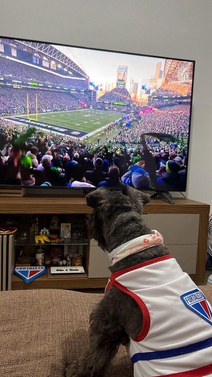 Yangzinha_Lion's tweet image. Mais cedo deu ⁦New England Patriots. Agora, na torcida pelo Seattle Seahawks. Go ⁦@Seahawks⁩ #NFLnoSportv #Sobralcity