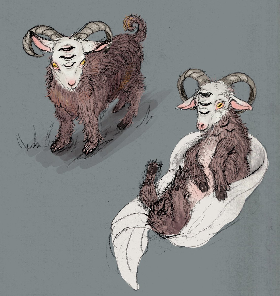 リブラﾁｬﾝも今から470年(仮)くらい前はこんなに可愛い子ヤギだったのにﾈ…