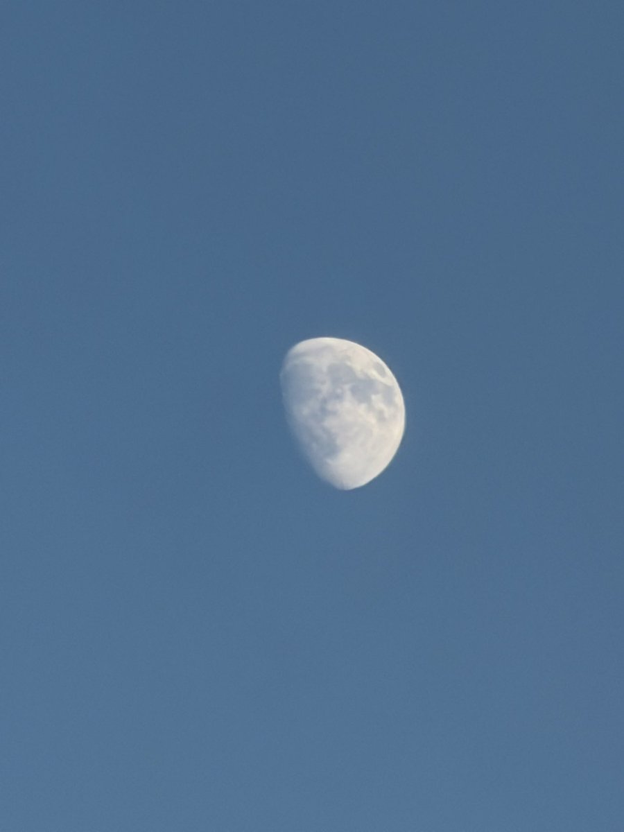 suminn____'s tweet image. 우리 빈이~ 생일 축하해💜
보고 싶다 💜

#아스트로 #아로하
 #언제나_빛날_너에게_빈아생일축하해