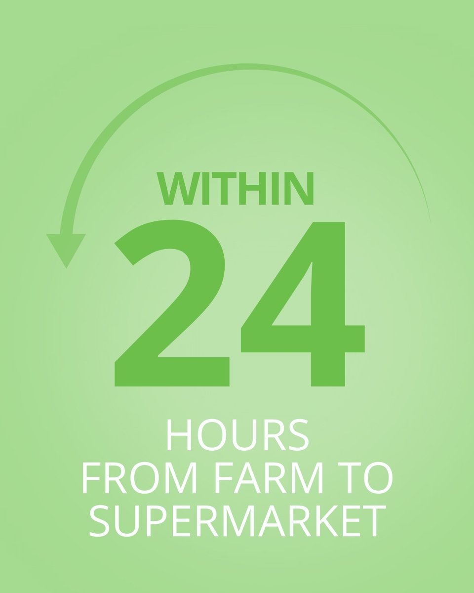 Because freshness matters 🐟

IZUMI fish is harvested in the morning and delivered to supermarkets the same day or next day — raising the bar for freshness in aquaculture, while being clean, sustainable and humanely raised.