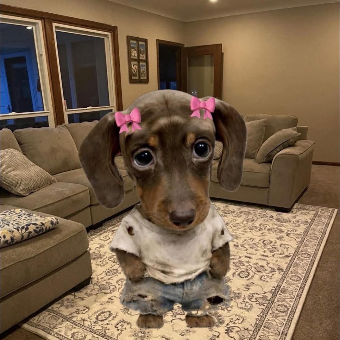 angelo_uf's tweet image. -Cuando ya dejaste tu casa bien limpia y ahora la mugrosa eres tú: