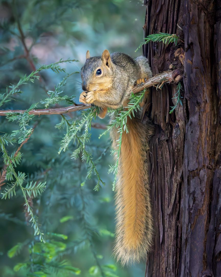 Branch Manager on Duty 🤣