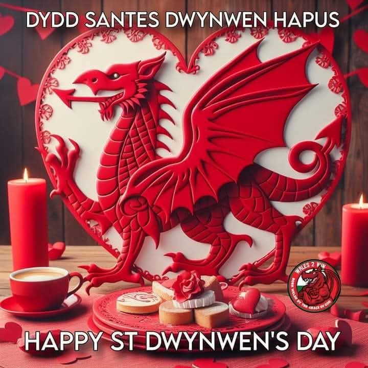 Happy St Dwynwen's Day one and all 😍🏴󠁧󠁢󠁷󠁬󠁳󠁿❤️💒😇👍
