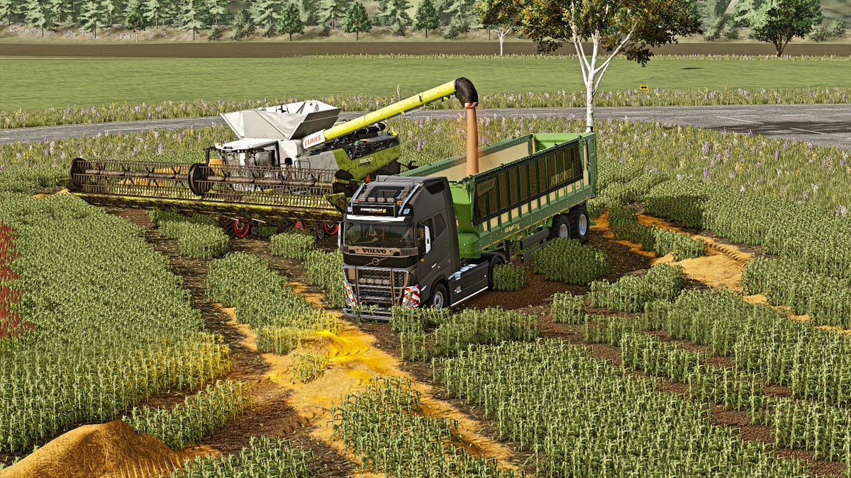 Globesimu18's tweet photo. Mountain-hill fs25pc #frg #gamingvideos #farmingsim #farming #farmingsimulator #fs25 #FarmingSimulator25 #fs25video #fs25gameplay #FS25PC #farmingvideos #fs25 #farming #farmingsimulator #PC #LandwirtschatfsSimulator25 https://t.co/GrZjlvNJ3C