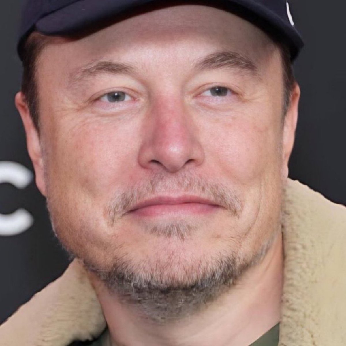 Elon musk tweet media