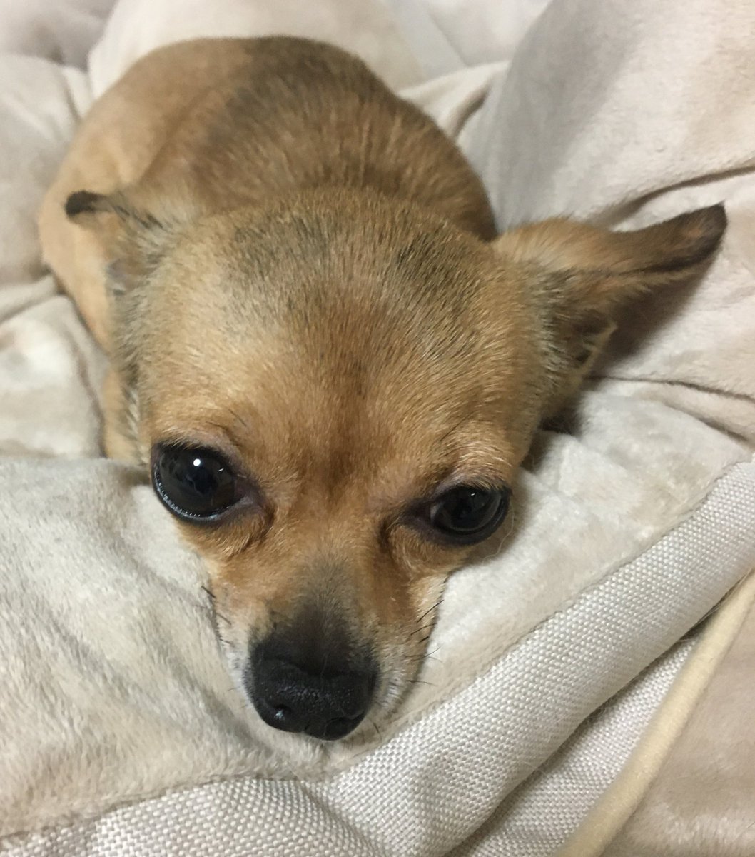 10年ニート tweet media