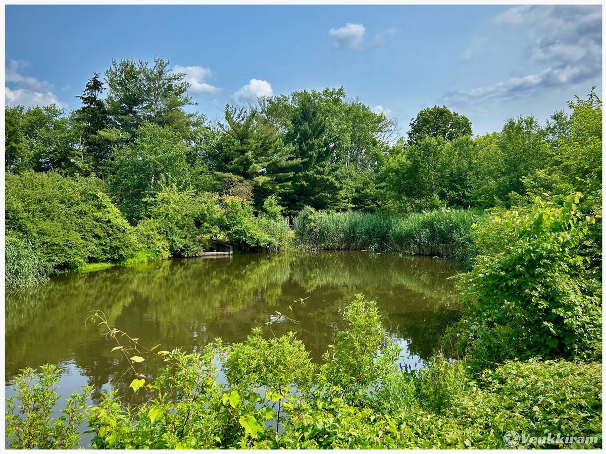 venkkiram's tweet photo. One landscape, two souls.
Watching this pond transform.
#venkkiclicks #ThenAndNow #SeasonalShift #LandscapePhotography #WinterVsSummer #NatureTransformation #TimeLapse #NJViews https://t.co/7B6JHITT6p
