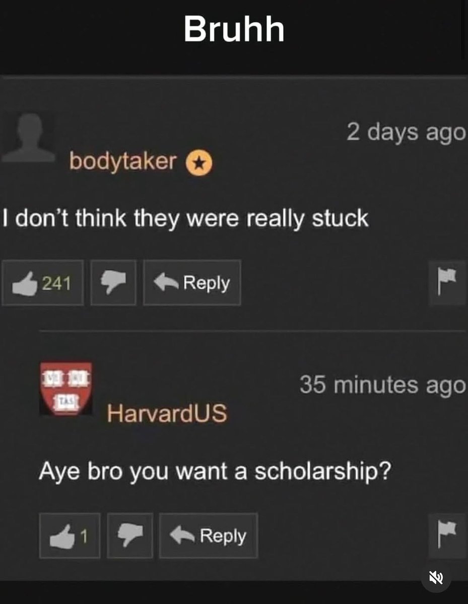 tragicbirdapp's tweet image. 