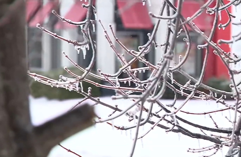 🧊⚡Cumberland Electric reports 32,000+ without power in Middle Tennessee. Sumner County hardest hit with 20,000+ outages. Crews working through icy conditions. *Some outages may last multiple days.* 
More Info: bit.ly/46crGcK