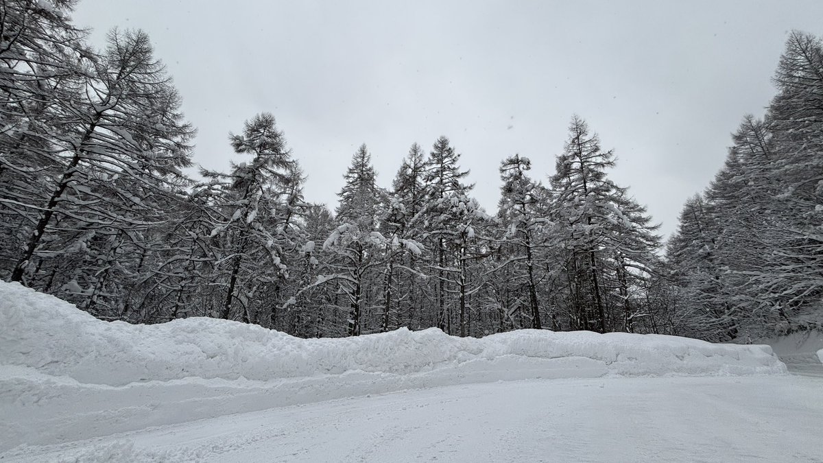 #裏磐梯情報
1/26（月）8:30頃
気温は-8℃ほど。
今日も冷え込む #裏磐梯❄️
昨年より積雪量は少ないですが、道路わきの雪壁は車ほどの高さまで積み上がりました🙄
体調を崩さないように十分ご注意ください。

#福島 #北塩原村 #桧原湖 #五色沼 #磐梯山 #釣り #写真 #スキー #スノーボード #ワカサギ