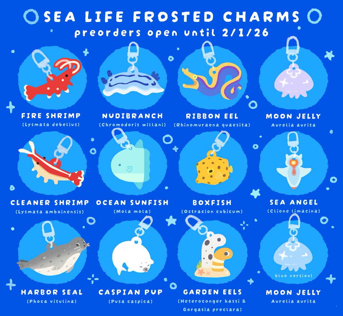 bada 🌊 tweet media