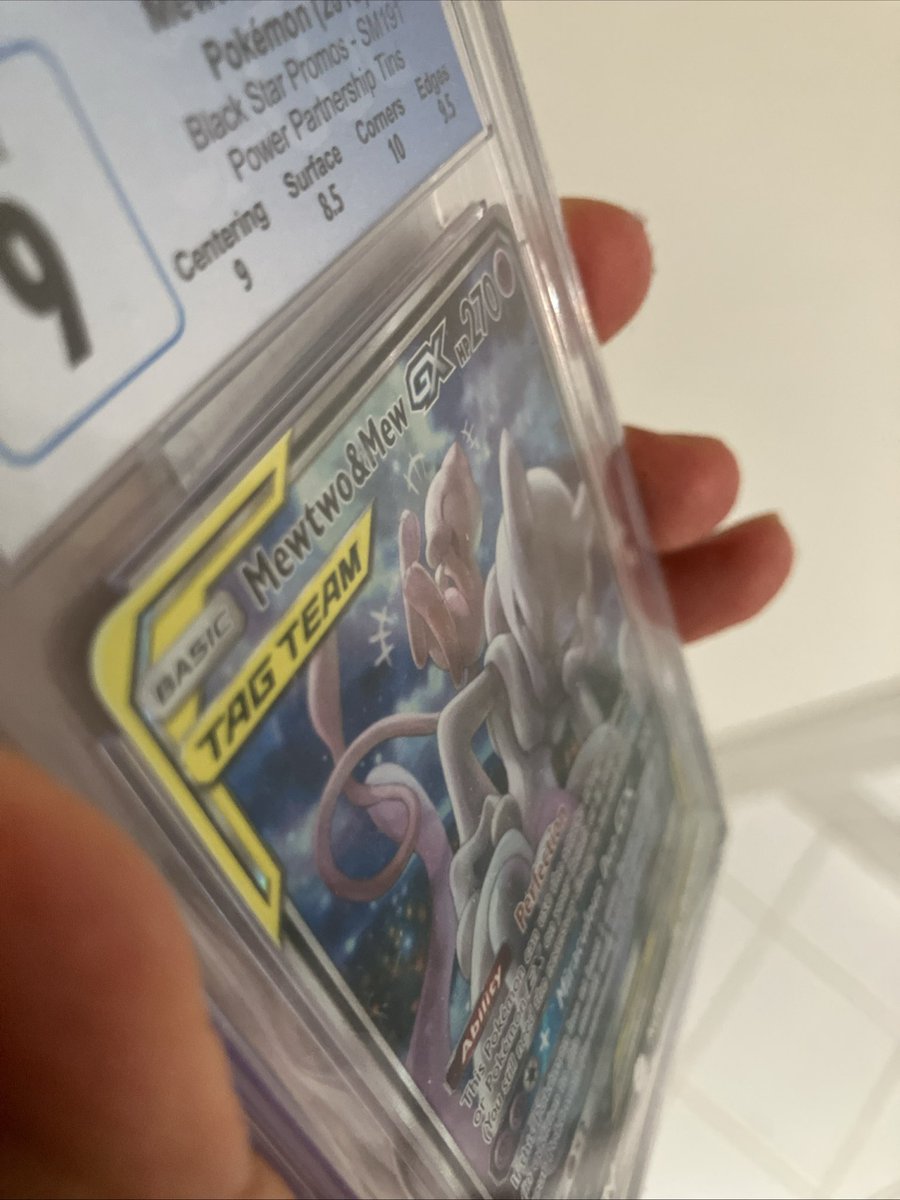 Pokebunch tweet media