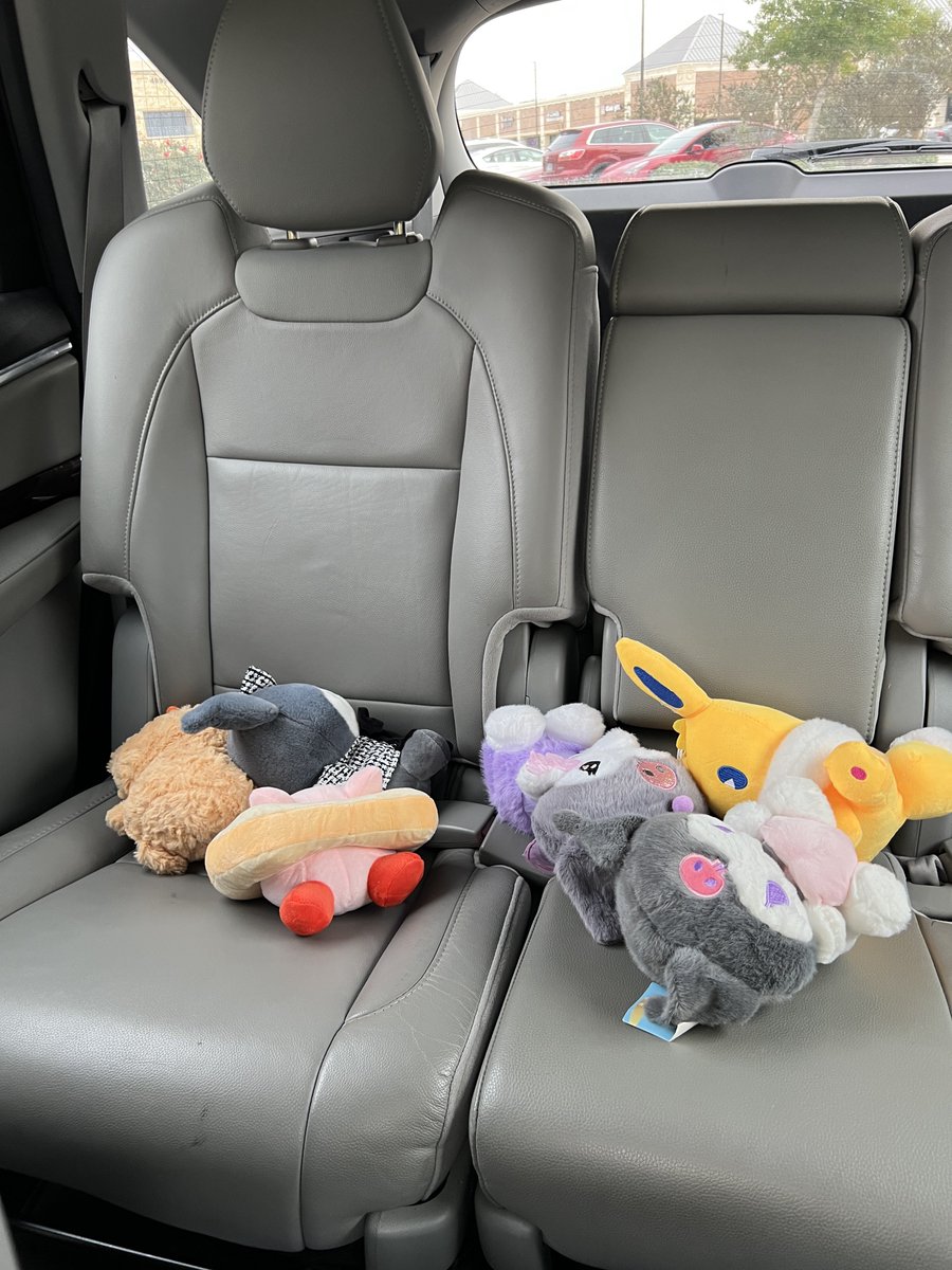 Hibiscus ఇ tweet media