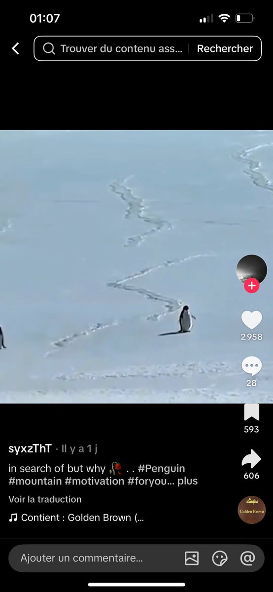 spin2winpd's tweet photo. J’ai jamais été aussi motivé et ambitieux après avoir vu son histoire à ce foutu pingouin https://t.co/oNBEkGvibb
