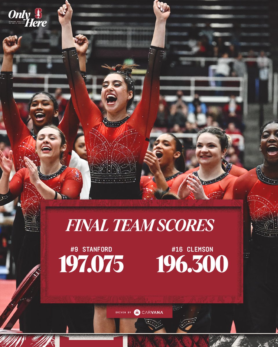 Stanford Gymnastics tweet media