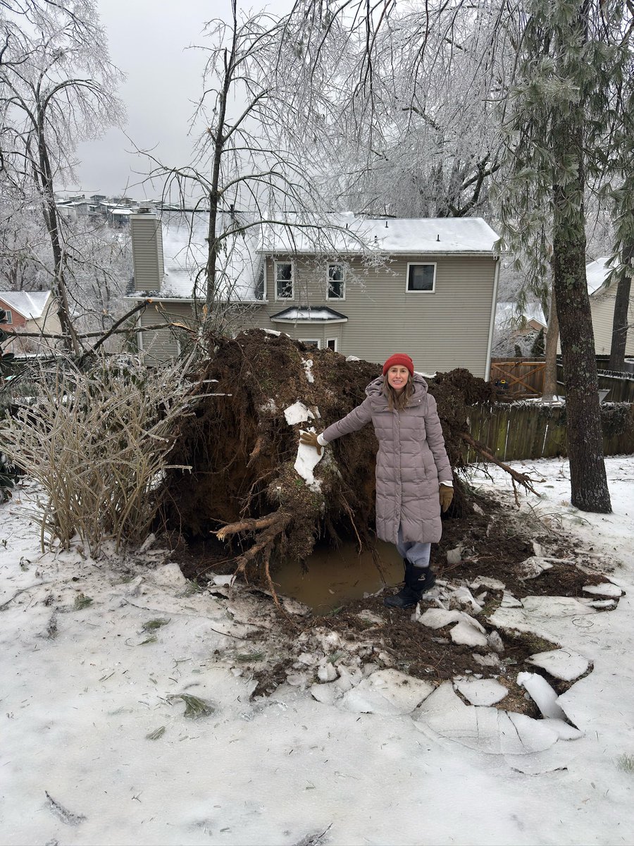 jkjumps's tweet photo. trees down everywhere in Nashville but the ice is kinda cool https://t.co/57vV3SflIJ