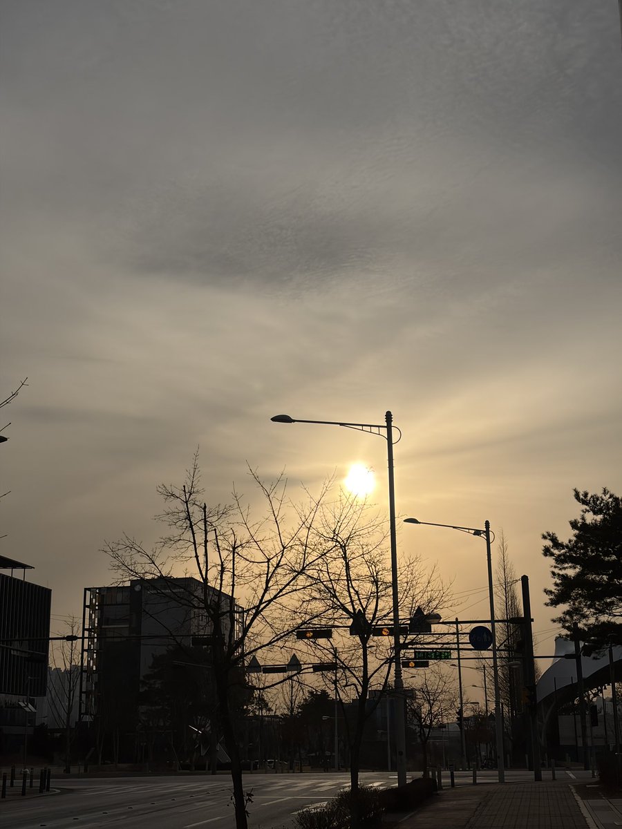 7goodmemory's tweet image. 열정의 알고리즘

오늘 아침 모닝콜을 애써 무시하며  
어떻게든 이불 속에 있으려고 발버둥 친 아침이었습니다.

뒤늦게 일어나 영어 단어를 외우는데  
머릿속에 잘 안 들어옵니다 ㅎㅎ

어찌나 열이 받던지 🔥🔥  
스스로에게 너무 화가 나고 굴욕적이었습니다.

제 열정이 불타는 알고리즘 시간이…