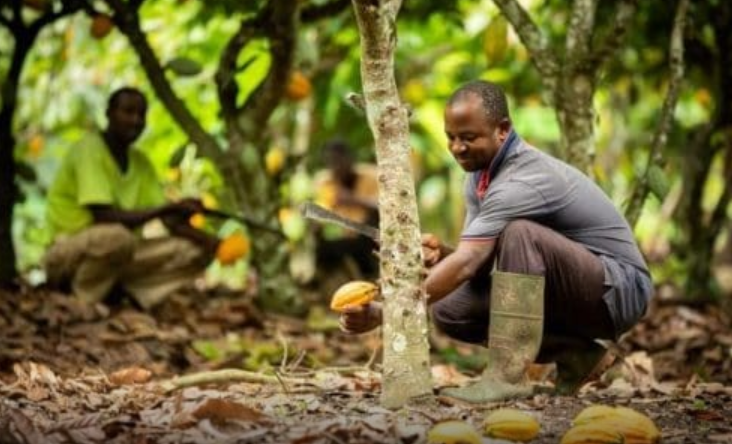 ANDREW ROLAND OBOSU tweet media