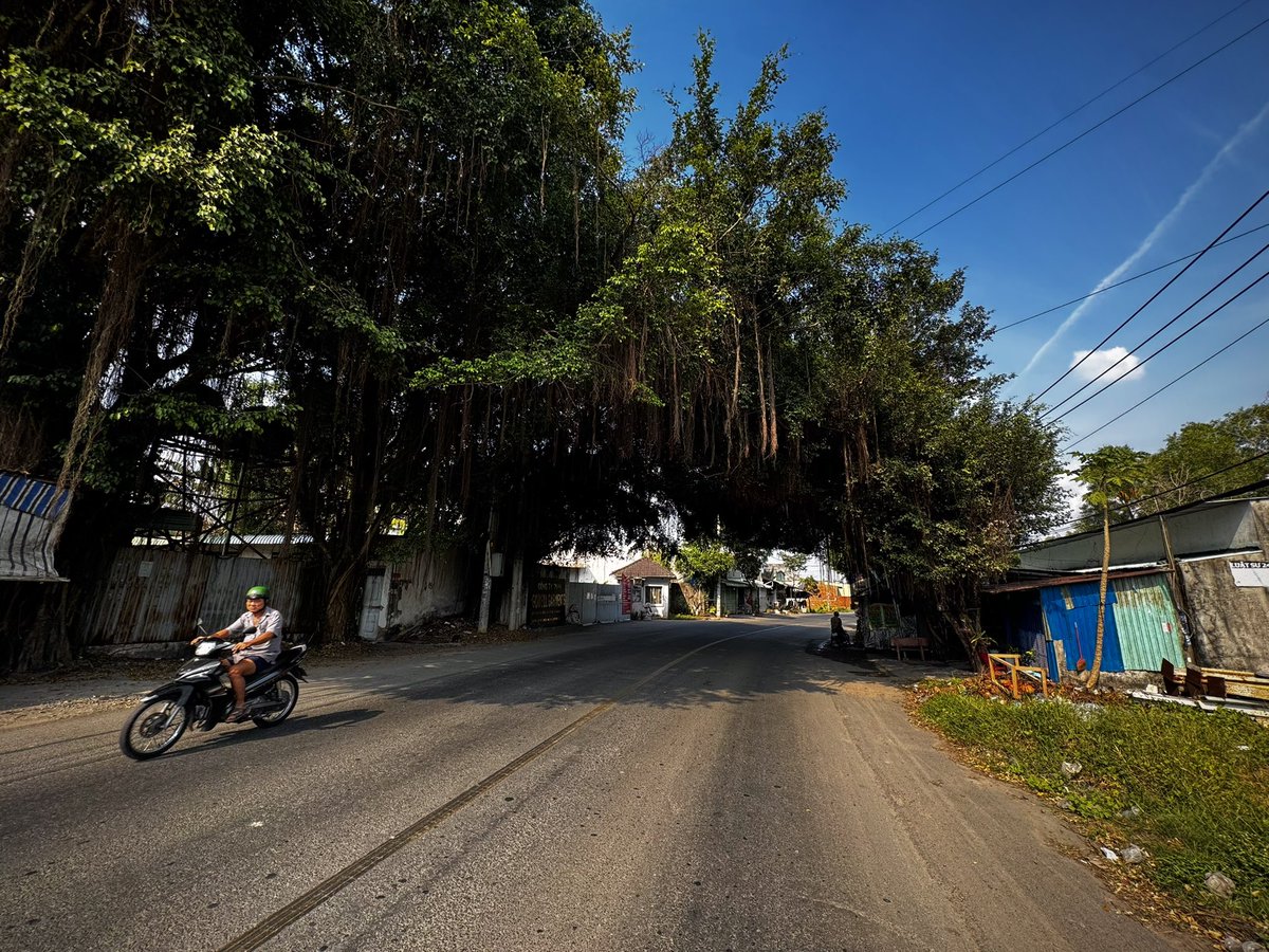 absolute's tweet image. ベトナムの木のトンネル。トンネル下のカフェかトンネルを眺めるカフェでベトナムコーヒーをどうぞ。