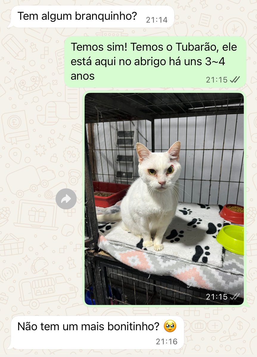 AbrigoMeimei's tweet image. A legenda é com vocês…