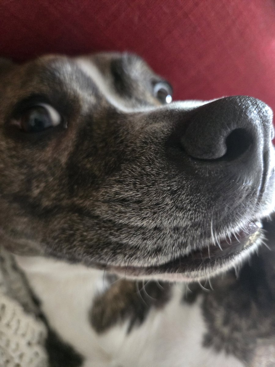 Dayday🤰 tweet media