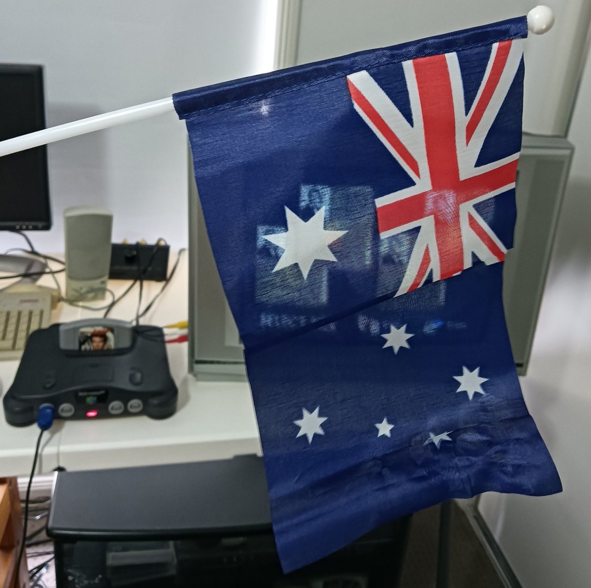 Happy fuggen #Strayaday ya fuggen cAaaAAaAaAA-*beer noises*-aAaAaAAaaAAnTs 🤠