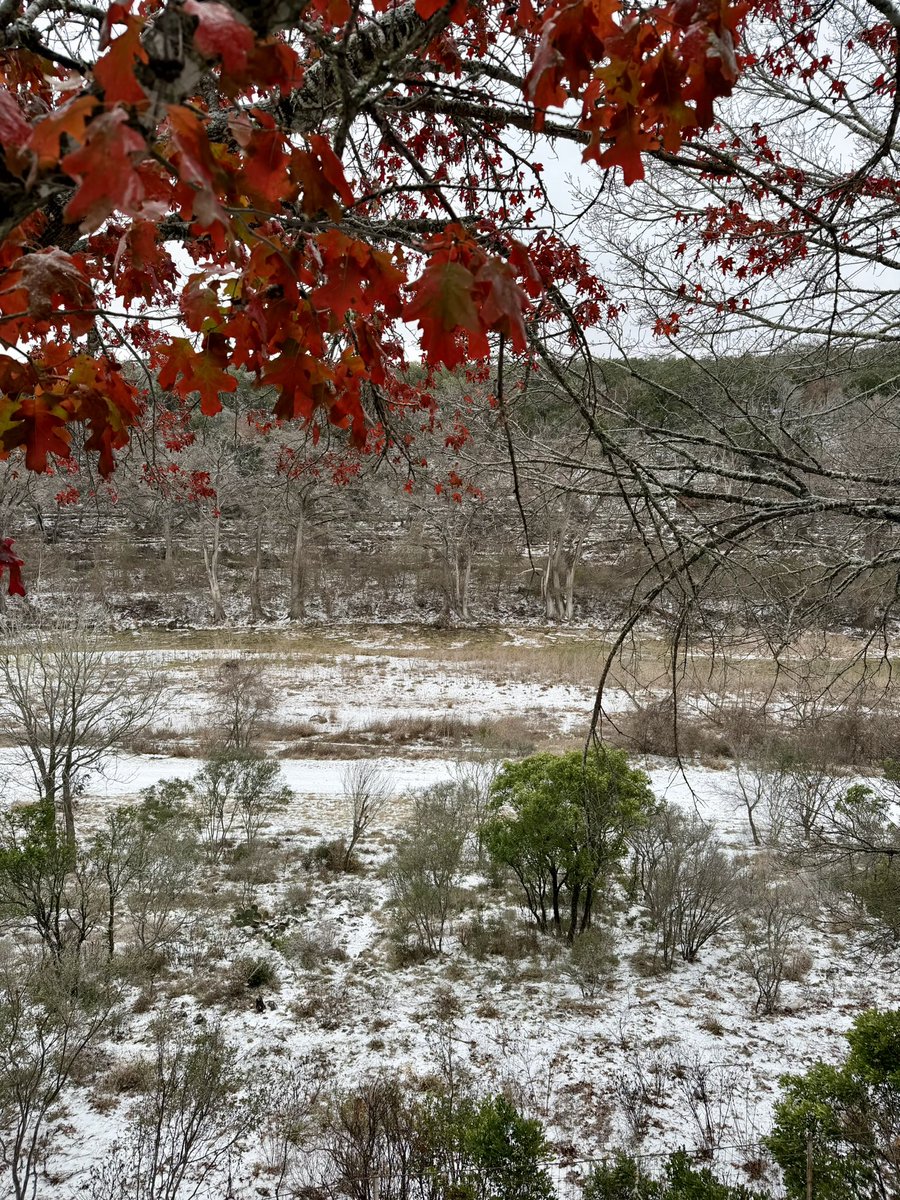 William T Johnson tweet media