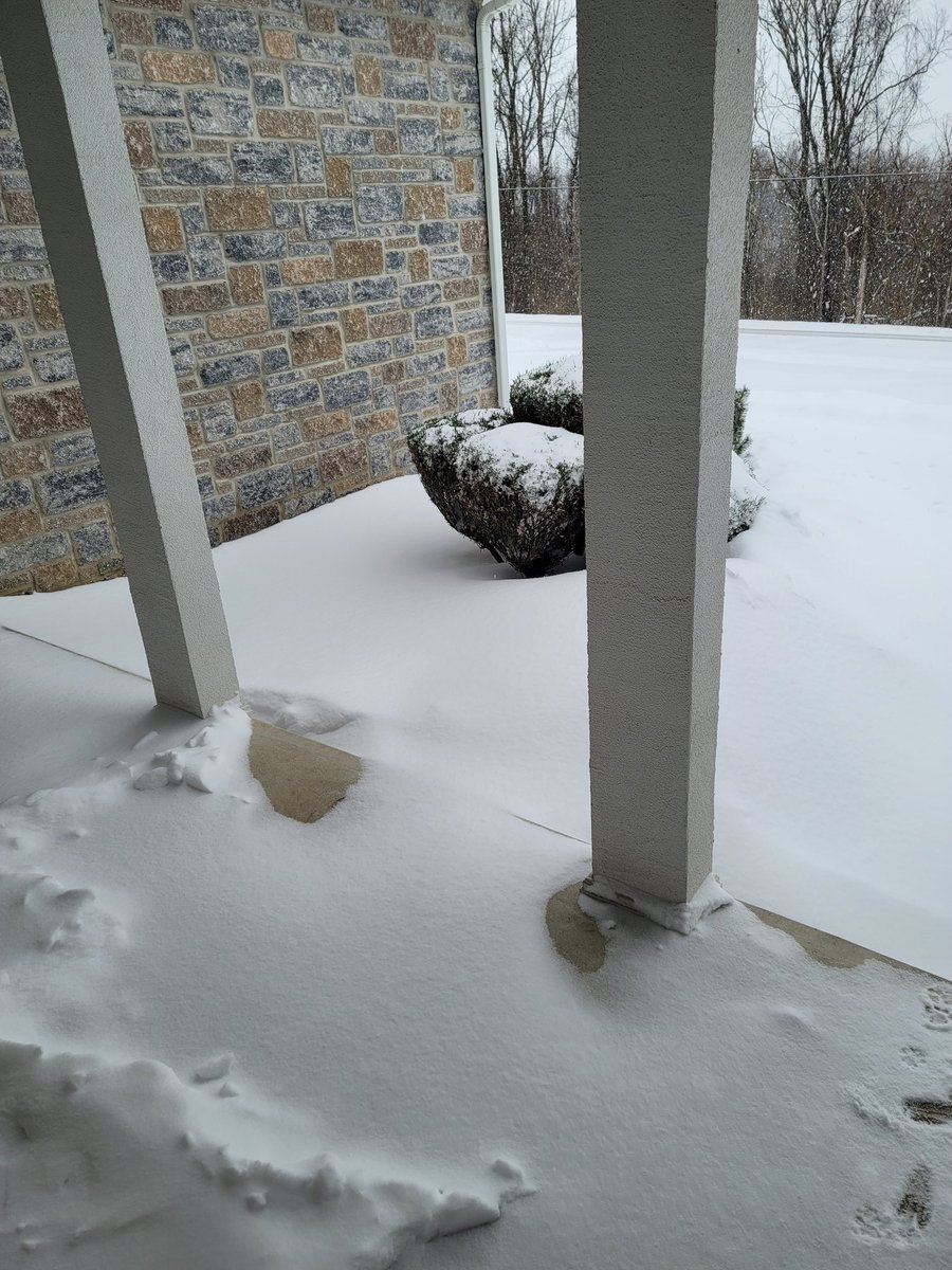 Well, we got about a foot (two steps high on front porch)  Maybe 1-2 inches over night and we're done. We have a 5 foot mountain of snow all around the driveway from clearing.  Skye wants more doorways through it.
