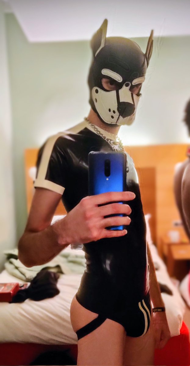 Pup Schnapp tweet media