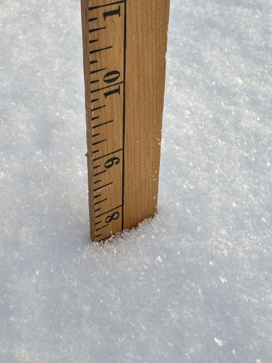 winelover64's tweet photo. Just 7.5” of snow measured at 4:27 pm CST on Evansville’s Eastside, near Plaza IPA. Measured in several places in the yard, due to drifting. #tristatewx #inwx #pahspotter @NWSPaducah @Wayne_C_Hart @Jeff14News https://t.co/VpNlr9lJpW