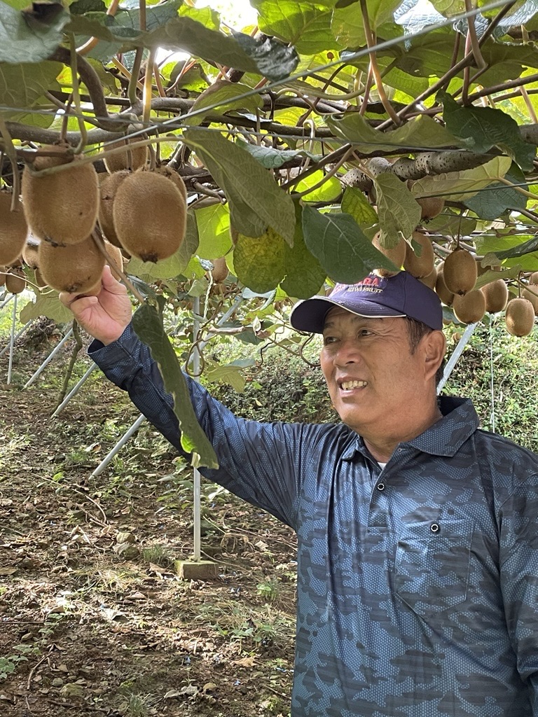 ／
#RKBラジオ
プレゼントキャンペーン🎁
＼
🎁プレゼント内容
#福岡キウイ を抽選で5名様にプレゼント✨
#懸賞 #全国3位 #博多甘熟娘

🎁応募方法
1⃣<a href="/rkbr_info/">聴いててよかった。RKBラジオ</a> をフォロー
2⃣<a href="/JAZENNOHFUKUREN/">JA全農ふくれん公式</a> をフォロー
3⃣この投稿をリポスト

🎁応募締切
📅2026年2月1日まで
⚠️当選者にはDMにてご連絡します