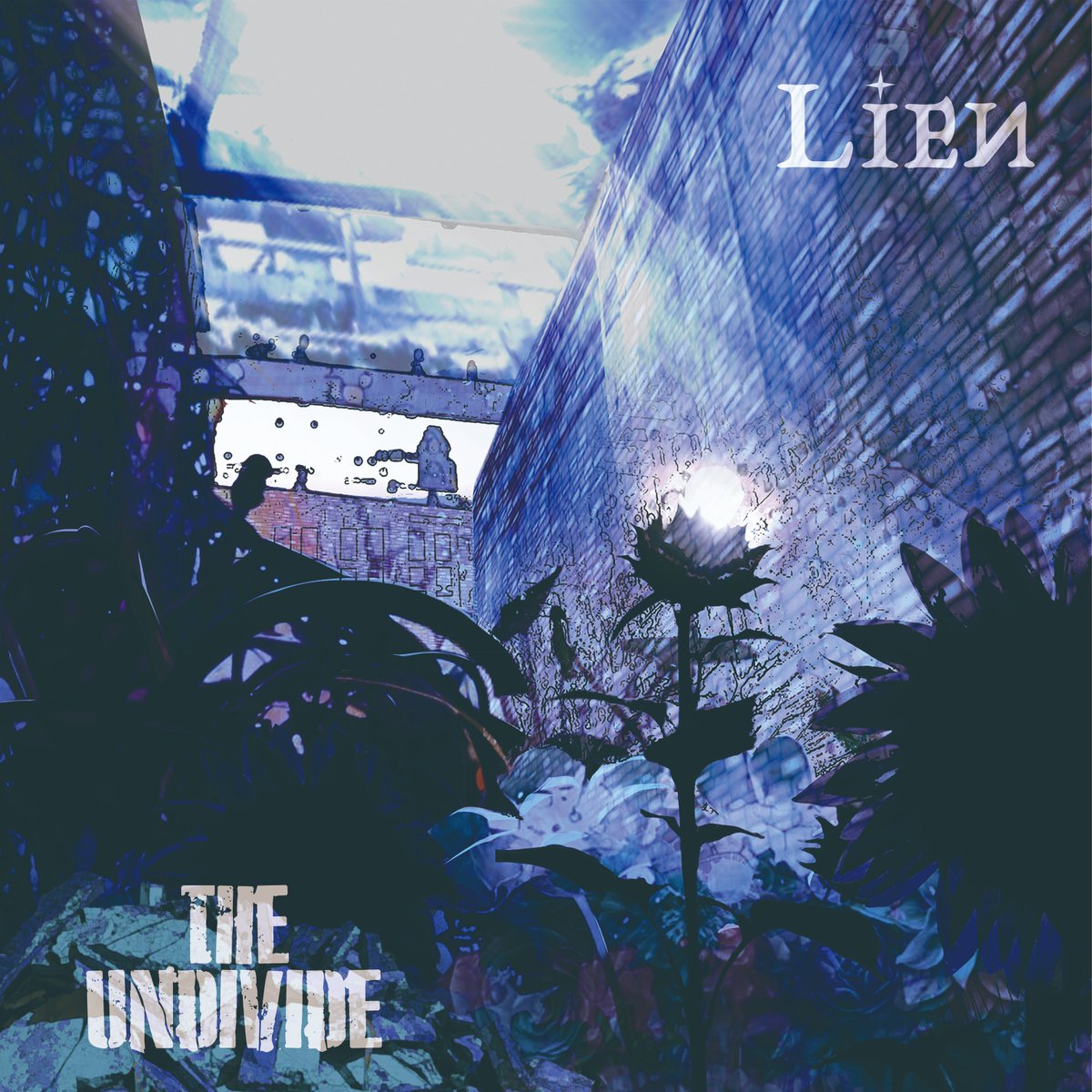 V系CD専門店 CROSS CAT (@CROSS_CAT) / Posts / X