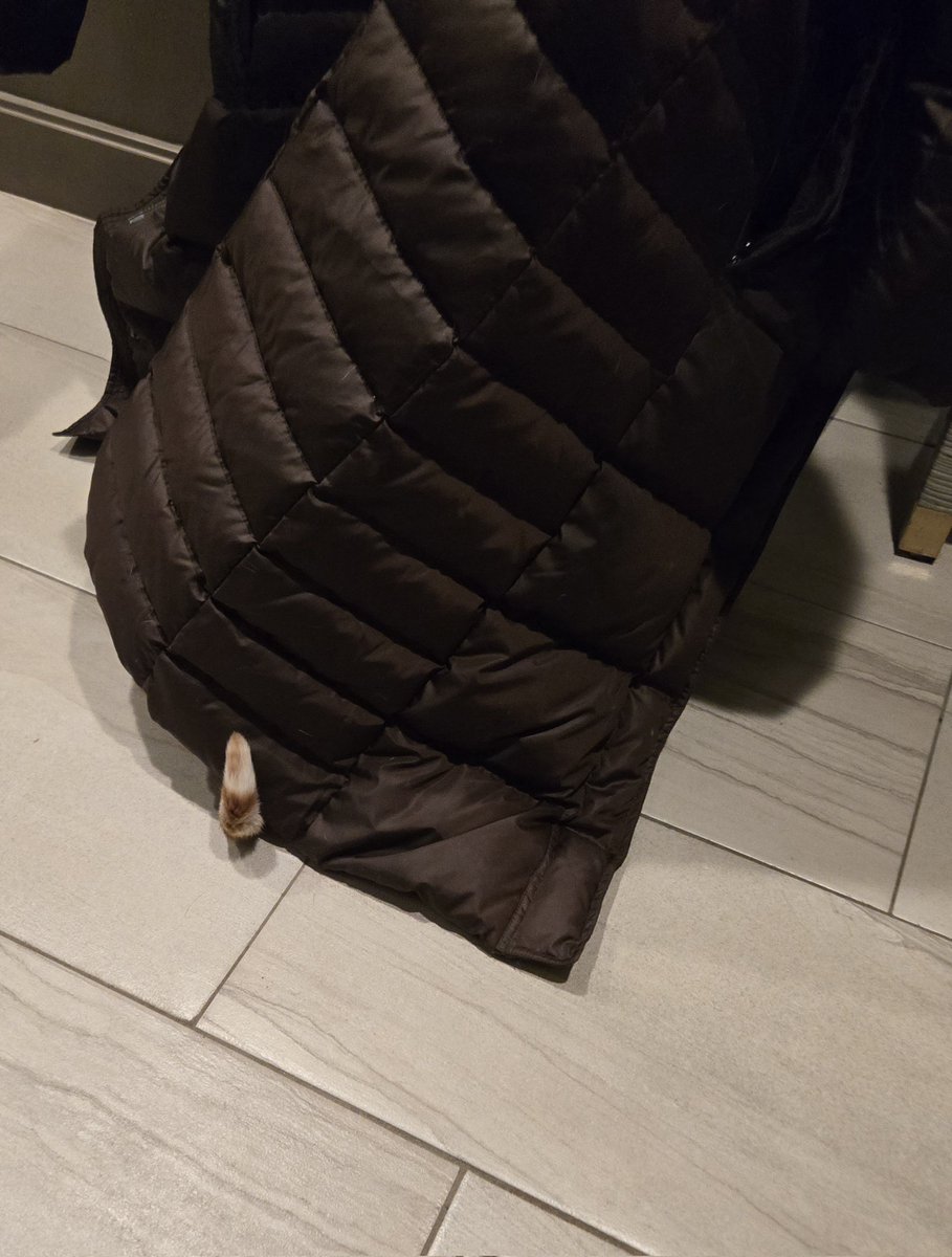 Busy Boy Floyd tweet media