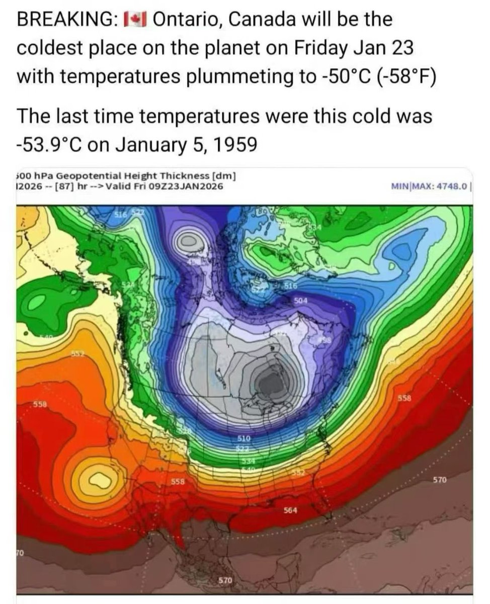𝑩𝒓𝒊𝒂𝒏 𝑿 tweet media