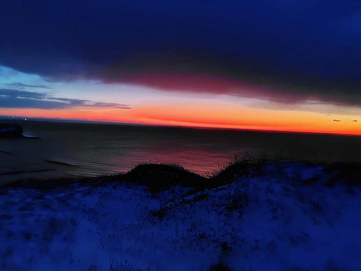 あきりんご🍎 tweet media