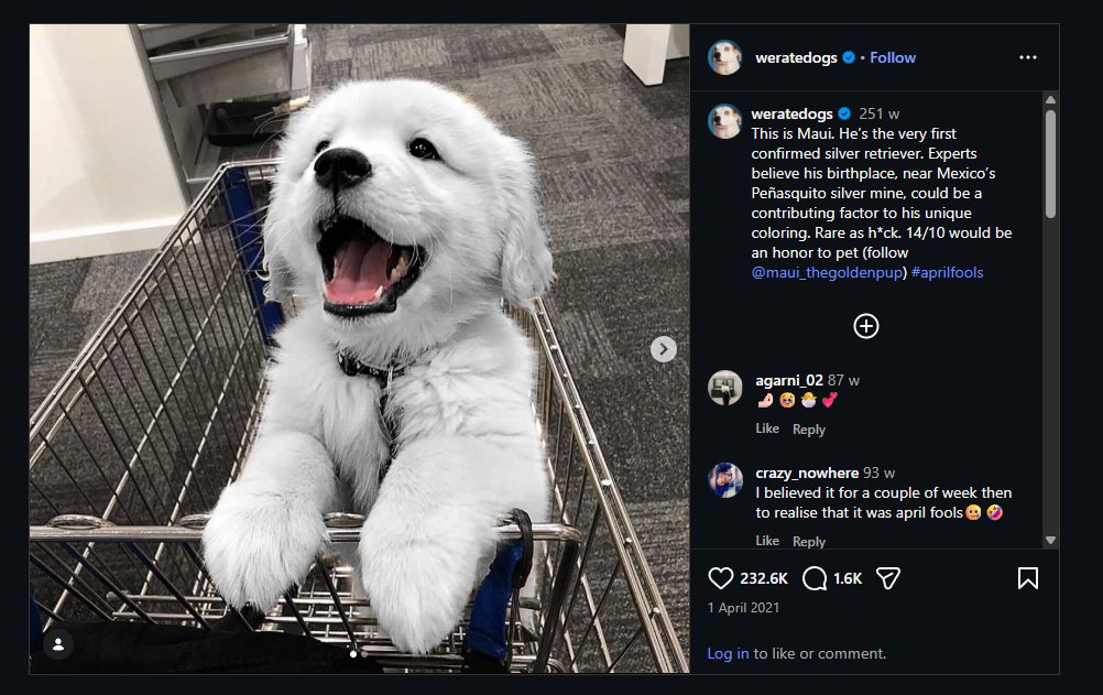 jxbdevs's tweet photo. Over 250k likes

The Silver Golden Retriever

With all Gold and Silver at ATHs we need a funny animal runner

https://t.co/q9iAi6P0KC https://t.co/VKhlKaHo4l