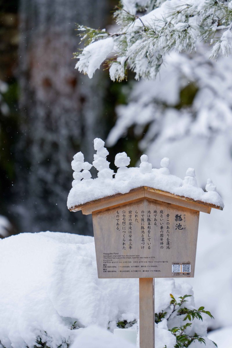 manabu16's tweet photo. 兼六園へ行かれる方は、頭上の木から突然落雪があります。路面も凍結しているので坂や橋の上、人が集まる灯籠周辺など転倒にご注意を https://t.co/65kShJ2Xkj