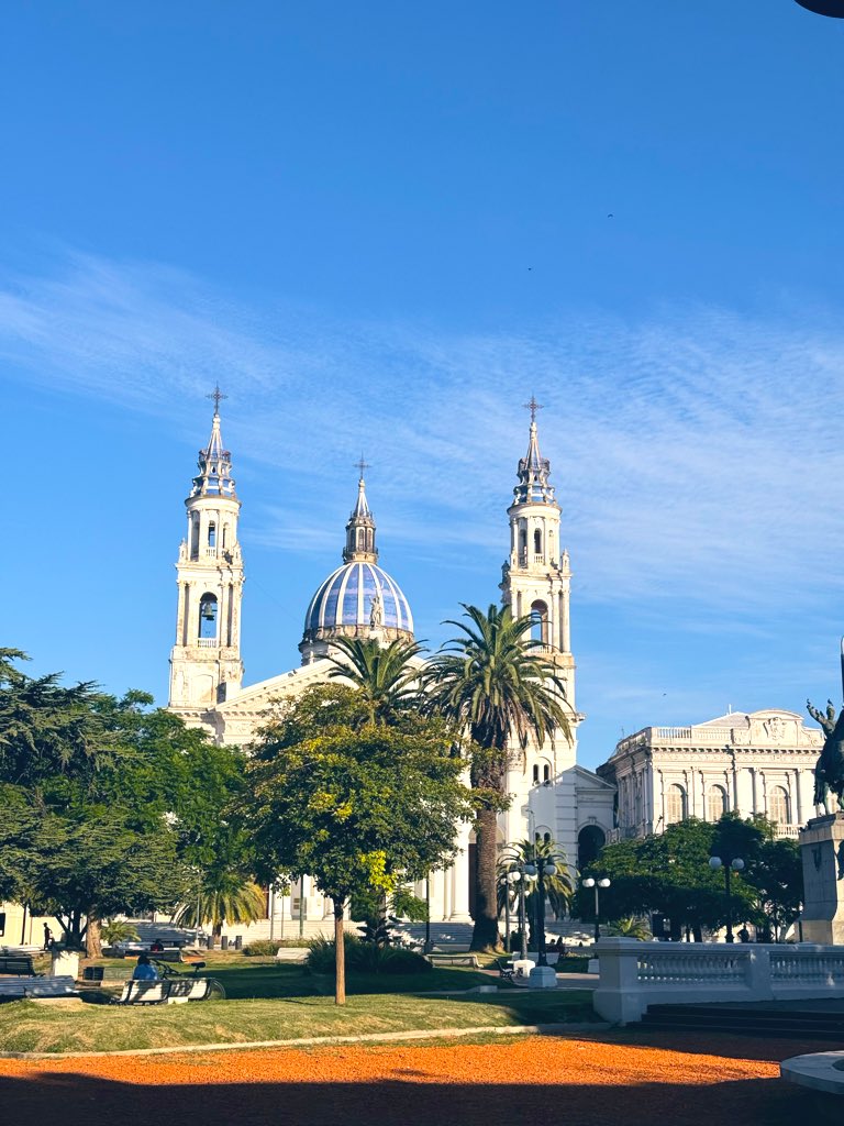 Flor Ferrero ⭐️⭐️⭐️ tweet media