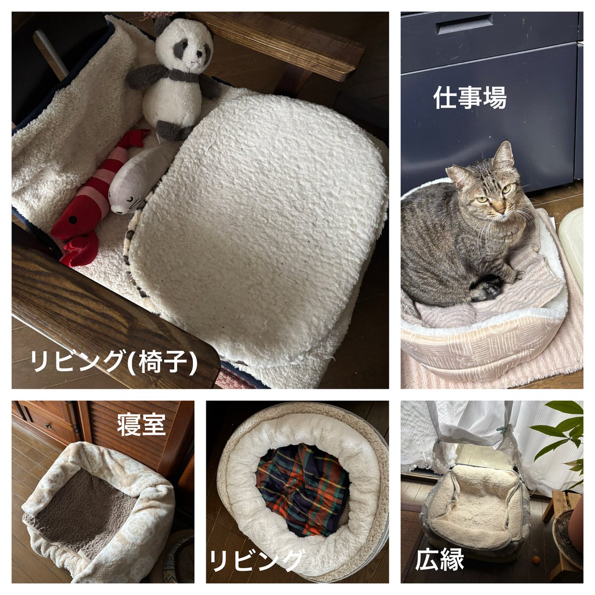 EMY (@EMYSWORKS) / Posts / X