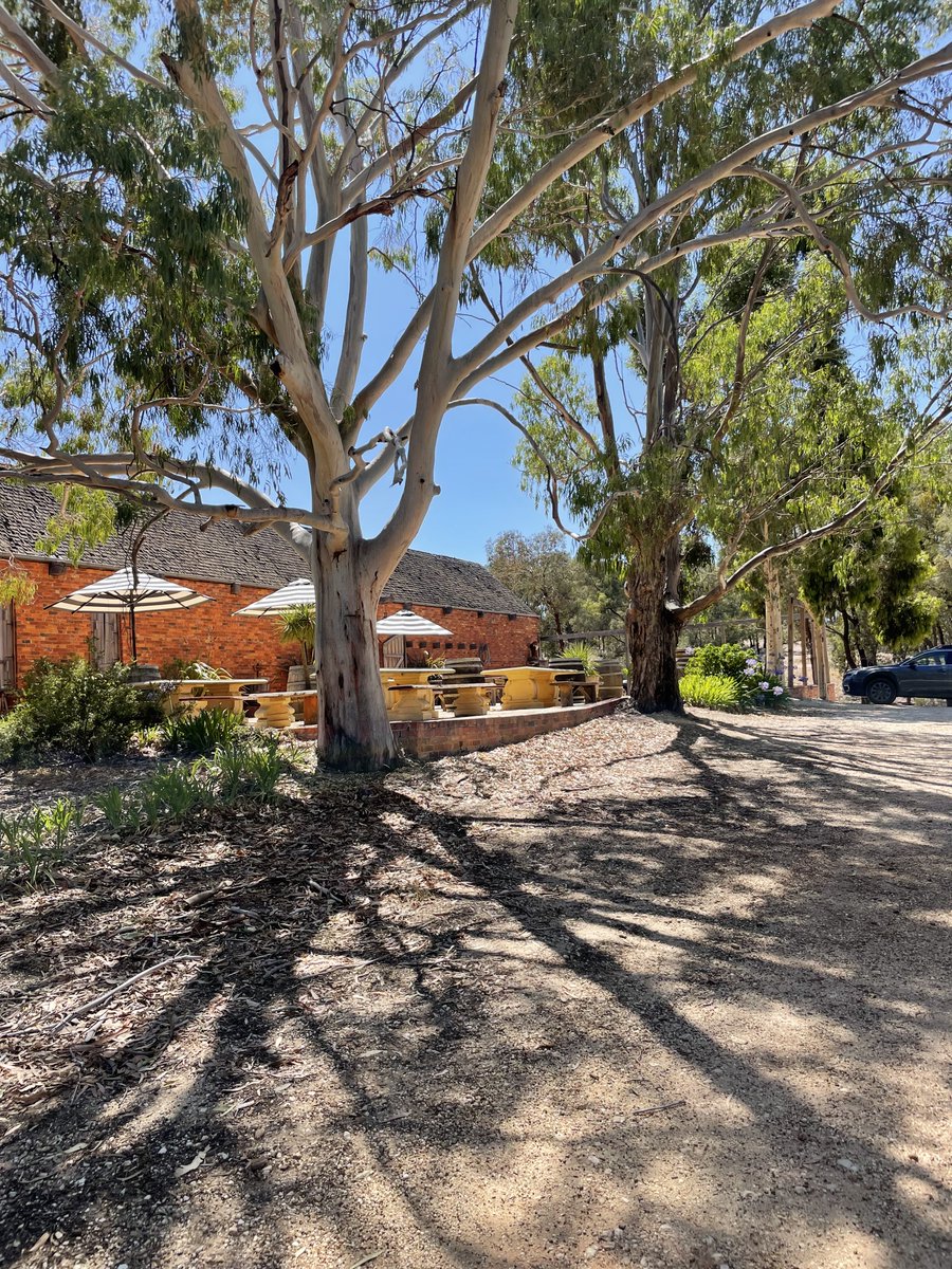 NeillRobb's tweet image. Lovely summer day at Sally’s Paddock. 25•C