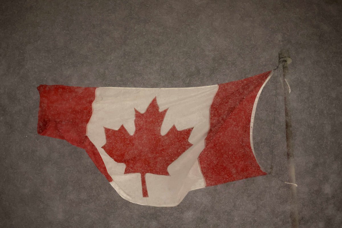 Steve Russell tweet media