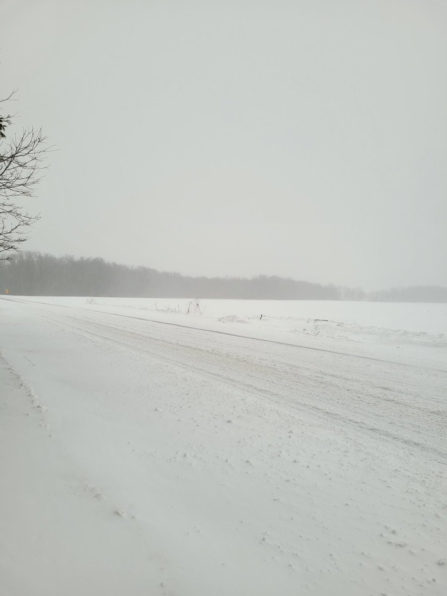 DD4evr's tweet photo. #ONStorm SNOW DAYYYY!!! ❄️🥶❄️🥶 https://t.co/ERzddZqtu6