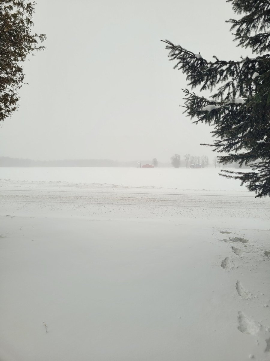 #ONStorm SNOW DAYYYY!!! ❄️🥶❄️🥶
