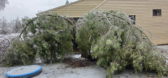 xbmlew's tweet photo. @ryanhallyall Alcorn County — Farmington, MS. 100% of the county without power. https://t.co/bfSSU676dk